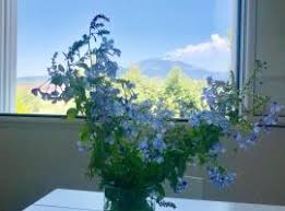 The 10 Best Hotels Near Etnapolis Shopping Centre In Motta SantÊ¼anastasia Italy