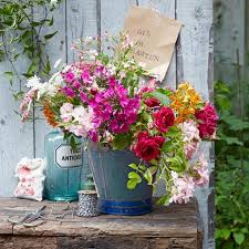 We did not find results for: Blumenstrauss Mit Rosen Phlox Und Kerbel Von Living At Home Living At Home