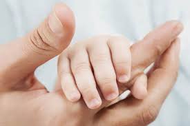 Hooked on facts.com is the. Top Ten Things You Never Knew About Hands Express Co Uk