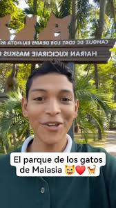 Parque de los gatos en Malasia 😺❤️🐈 #petsofinstagram #catsofinstagram  #catlover #fblifestyle