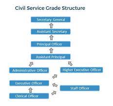 Nowadays, a finance department has a broad range of roles to carry out within or outside an organization. Role Of Administrative Officer Career Services