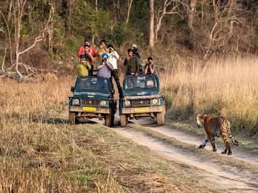 Exploring the historic wilderness of Jim Corbett National Park, AI generated