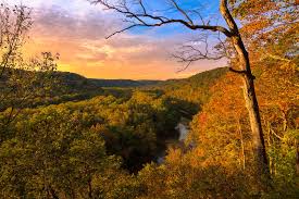 State of arkansas, as of 2019. Mammoth Cave National Park The Complete Guide For 2021 With Map And Images Seeker