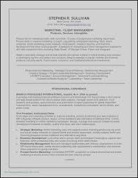 Net Developer Resume Sample Luxury White Paper Marketing Luxury Resume Sample Summary Fresh Job Resume Examples Marketing Resume Manager Resume