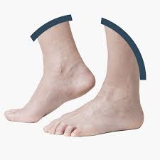 Per quanto riguarda la sintomatologia, una tendinite achillea può comportare: Il Tendine D Achille Dr Federico Usuelli