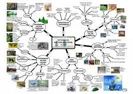Nota yang terdapat dalam peta minda ini hendaklah dibaca menurut turutannya. Nfn Norlisaf Profile Pinterest