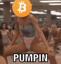 Bitcoin Crypto Gif By Bitstamp Find Share On Giphy
