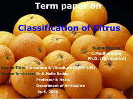 Citrus Classification