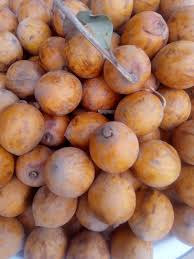 Image result for Prunus africana