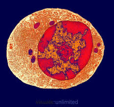 Pin On Really Small Things