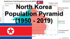 Welcome to the united nations · united nations logo. North Korea Population Pyramid 1950 2019 Youtube