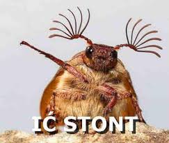 images?q=tbn:ANd9GcSaK4N6Y_T-sgWNrvISwYv