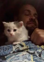 Big shout out to my newest top fans! Geoffrey Vanloon, Nilesh Prajapati,  Kadoh Yawings, Frank Culter, Larry fanaa, Addam Lioon, Rob Ayala, Fredrick  Paulas, Kohli Satish, Obaob Ramilzkie, Mark Lewis, Jay Kellers,