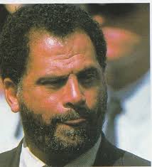 Chery SA CEO Tony Lui says company is considering its approach carefully