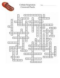 Cellular Respiration Crossword Puzzles Resources Under 2 00