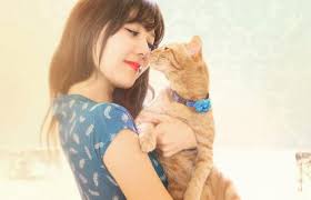 That depends on what you're japanese names have a unique beauty in and of themselves. 225 Popular Japanese Cat Names With Meanings Lovetoknow