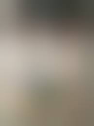 木嶋のりこ 鈴木ゆき 富田吏菜 DVD 葉っぱ隊(か行)｜売買されたオークション情報、ヤフオク! の商品情報をアーカイブ公開 -  オークファン（aucfan.com）