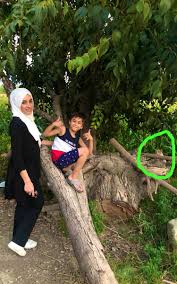 Şerefsizlik yapma. şeklinde yanıt verdi. Cemile Tasdemir A Twitteren Her Yerdeler Her Yerde