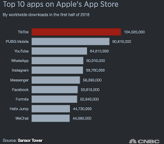 37 Tiktok Statistics That Will Blow Your Mind Infographic