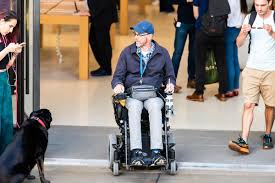 But if it's a mental disability, sometimes (and this is extremely hard to say, and harsh) we do it for ourselves, not them. Disabled People Struggle To Get Food And Essential Items During Lockdown The Independent The Independent