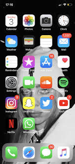 Pin By Ella U On Iphone Organization Iphone Organization Iphone App Layout Homescreen Iphone