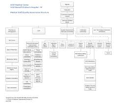 Governance Medical Staff Affairs