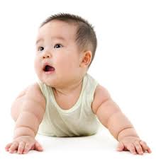 Giggle Magazine-Gainesville April/May 2024 by Irving Publications, LLC