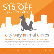 Check spelling or type a new query. Pin On Furr Pet Spa