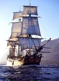Hms Endeavor Sailing Ships Sailing Vessel Tall Ships