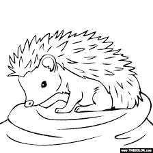 Baby Hedgehog Coloring Page Animal Coloring Pages Hedgehog Colors Hedgehog Drawing