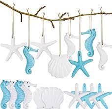Women's clothing, men's clothing, performance wear, active wear Amazon Com Coastal Christmas Decorations