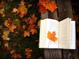 Nothing Describes This Season More Accurately Unless There Was A Psl Also On The Bench Books Coffee Autumn Tumblr Tea And Books Fall Reading