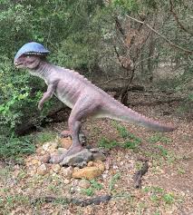 Image result for Steganotaenia hockii