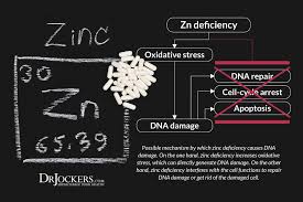 Although screenings for prostate cancer are one tool for early detecti. Prostate Cancer Symptoms Causes And Support Strategies