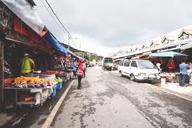 Would it be fairly easy? Die Cameron Highlands Reisebericht Tipps Und Highlights