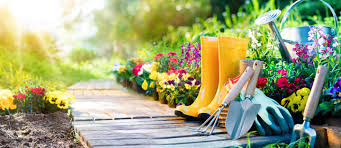Pick out your favorites from our home & garden stores, plant, and add a fresh layer of mulch to help them thrive throughout. Essential Home Gardening Tools Their Uses Zameen Blog