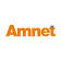 Amnet ContentSource logo