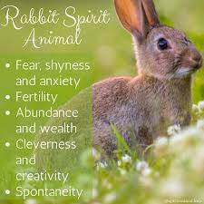 Learn the symbolic meaning of various species of birds and their supernatural connection between heaven and earth. Rabbit Spirit Animal Spirit Animal Info Animal Totem Spirit Guides Animal Spirit Guides Animal Symbolism