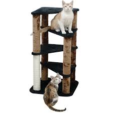 Our stores operating hours are from 10am to 10pm daily except for our stores at Pet Club Hours Today Pet S Gallery