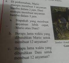 Dani mampu membuat anyaman dalam waktu 3 jam. Di Perkemahan Mario Mampu Membuat 3 Anyaman Bambu Peranti Guru