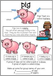 Farm Animals Theme Worksheets Pig Pack Farm Animals Theme Farm Theme Farm Theme Preschool