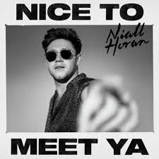 Nice To Meet Ya Niall Horan In 2020 Niall Horan Nice To Meet Music Album Covers