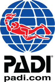 Browse our padi dan kapas images, graphics, and designs from +79.322 free vectors graphics. Padi Dan Kapas Logo Vector Cdr Free Download