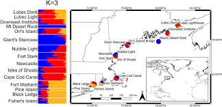 Stropiri pomi fructiferi schema targu mures cod postal teza clasa 5 romana sem 1 surse de poluare a solului spitalul de pneumoftiziologie baia mare spital boli infectioase national conference of cultural managers 4th edition culturadata. Frontiers Population Genetics Of Sugar Kelp Throughout The Northeastern United States Using Genome Wide Markers Marine Science