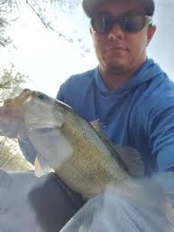 Saw these two while fishing from my kayak this morning.