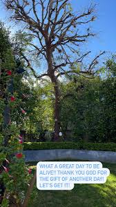 Dulcecandy.com has google pr 5 and its top keyword is dulce candy with 63.72% of search traffic. Dulce Candy Dulcecandy Twitter