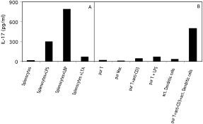 The name indicates that they are secreted by leucocytes and acts upon other leucocytes. Interleukin 23 Promotes A Distinct Cd4 T Cell Activation State Characterized By The Production Of Interleukin 17 Journal Of Biological Chemistry