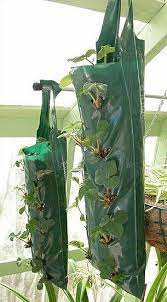 Diy Hanging Grow Bags For Your Plants Diy Grow Bags Planter Bags Grow Bags