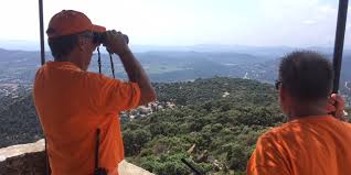 Feux de forêts incendies dans le var : Var Contre Le Risque De Feu De Foret Les Agents Communaux Veillent Au Grain