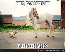 Pin On Animals